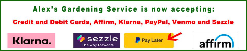 Alex's Gardening Service. Mendocino Lawn care